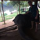 ���� ����������, ����, 50 ��� - ��������� 22 ������ 2017 � ������ ������ ��������