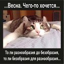 ���� Virgo, ������ - ��������� 27 ����� 2018 � ������ ������ ��������