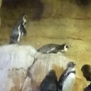 ���� Lidiya, ������, 62 ���� - ��������� 12 ����� 2018 � ������ ���� ����������