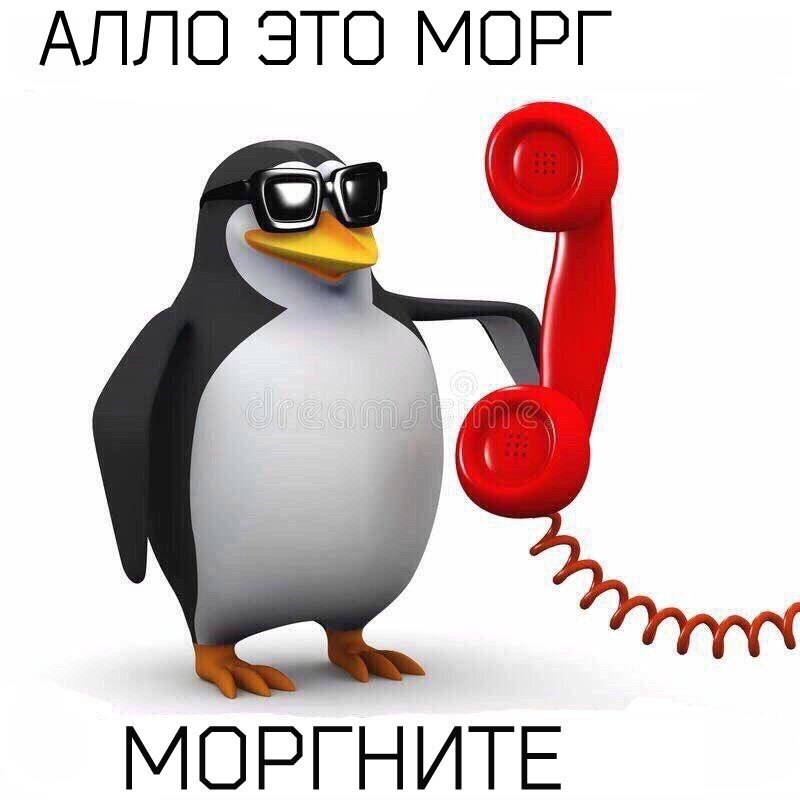     ,   D.- - 11