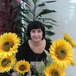 ���� �������, �����������, 73 ���� - ��������� 22 ������� 2017