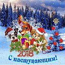 ���� Yulia, ������ - ��������� 24 ������� 2017 � ������ ������ ��������