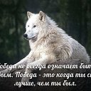 ���� �������� �������, ������ - ��������� 12 ���� 2018 � ������ ������ ��������