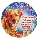 ���� �����, ���������, 65 ��� - ��������� 13 ������ 2018 � ������ ������ ��������