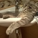 ���� �������, �����-��������� - ��������� 13 ������ 2018 � ������ ������ ��������