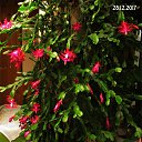 ���� ��������, Kouvola, 78 ��� - ��������� 6 ������ 2018 � ������ ����������������� ����