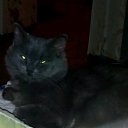  C, , 50  -  18  2018    