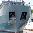  , , 49  -  7  2018    2018