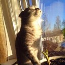 ���� ������, ���������, 45 ��� - ��������� 24 ������ 2018 � ������ ������ ��������