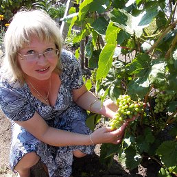 ������, �����������, 53 ����