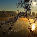 ���� �����, ������������ - ��������� 20 ������� 2017 � ������ ���� ����������