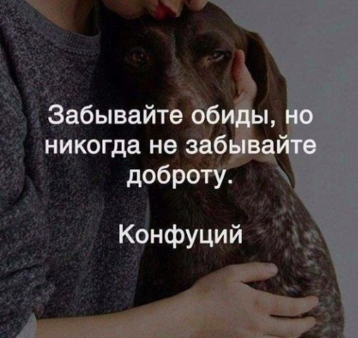 Красиво сказано . . . - 26 января 2018 в 08:24