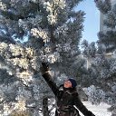 ���� �� �������� �� ������� ���� ����������