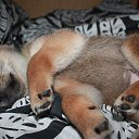 ���� �����, �����-���������, 56 ��� - ��������� 26 ������� 2017 � ������ ���� ����������