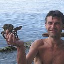 ���� �������, ���������, 48 ��� - ��������� 28 ������� 2018