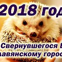 ���� ���, �����-��������� - ��������� 14 ������ 2018 � ������ ������ ��������