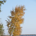 ���� ������, ������, 56 ��� - ��������� 9 ������� 2018 � ������ ���� ����������