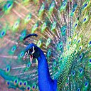 ���� ����, ������-��-����, 62 ���� - ��������� 22 ������ 2017 � ������ ������ ��������