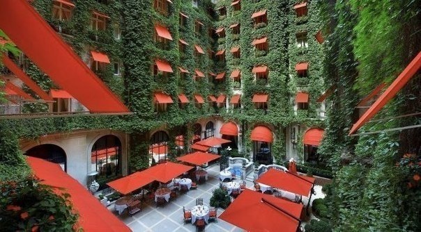    Plaza Athenee, , 