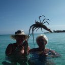 ���� ������, �����������, 57 ��� - ��������� 29 ��� 2018 � ������ ���� ����������