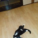 ���� �������, �����-���������, 54 ���� - ��������� 2 ���� 2018 � ������ ���� ����������