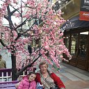 ���� ������, ��������, 66 ��� - ��������� 20 ��� 2018 � ������ ���� ����������