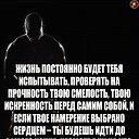 ���� �����, �����������, 45 ��� - ��������� 26 ������ 2017 � ������ ���� ����������