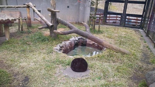 ��� ����� �������� �������, ������� ��� �������� ������