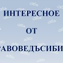 ���� �������, �����, 50 ��� - ��������� 4 ������� 2017 � ������ ������ ��������