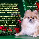 ���� ����, ������������, 55 ��� - ��������� 30 ������� 2017 � ������ ������ ��������