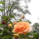  , , 60  -  28  2018   , ,,28.05.18. 08.30. 