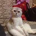���� Lissa, �����-���������, 59 ��� - ��������� 9 ���� 2018 � ������ ���� �����
