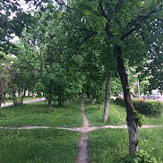 �����, 28 ���, �����������