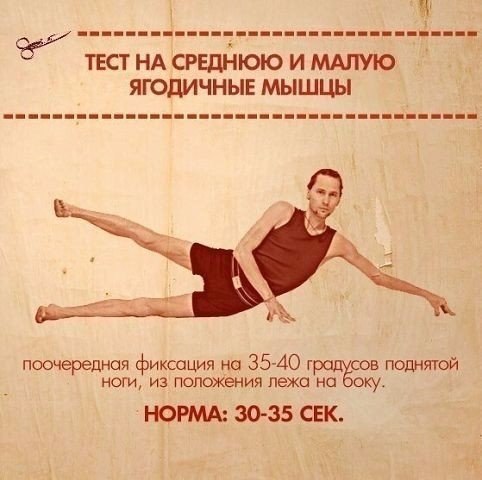 ТЕСТЫ НА ФУНКЦИОНАЛЬНУЮ СЛАБОСТЬ МЫШЦ. Тело нетренированного (а часто и тренированного) человека ...