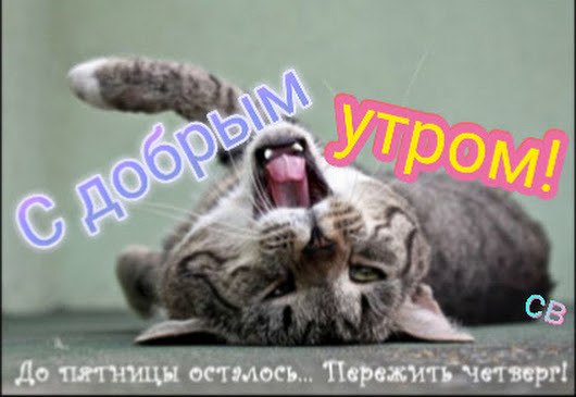 ***Victoria Viktorovna*** - 21  2017  06:06