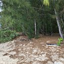 ���� Vincent, ������������, 50 ��� - ��������� 13 ������ 2018 � ������ ���� ����������