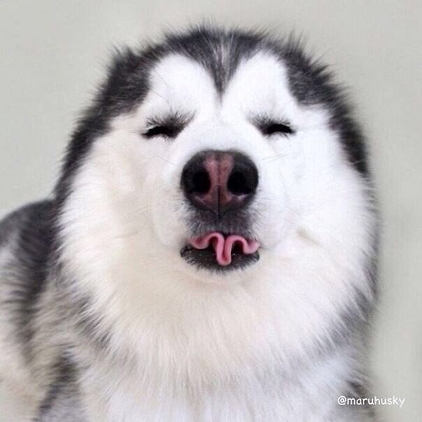        ,         ... - 3