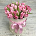 ���� Sofia, ����� - ��������� 10 ����� 2018 � ������ ������ ��������