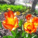 ���� Valentina, ��������������, 60 ��� - ��������� 26 ������ 2018 � ������ ������ ��������