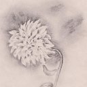 ������ �� ������� ���� ����������