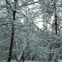 ���� ����, ������ - ��������� 7 ������� 2018 � ������ ������ ��������