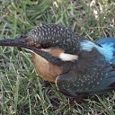  R0882, -, 43  -  6  2018    