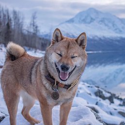 Sergey, �����-���������