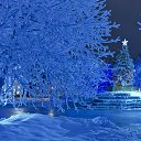 ���� �������, �������, 47 ��� - ��������� 3 ������� 2017 � ������ ���� ����������