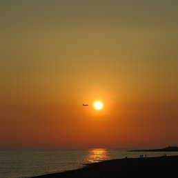 ������, ������, 52 ����