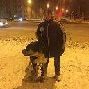 ���� �����, �����, 51 ��� - ��������� 26 ������� 2017