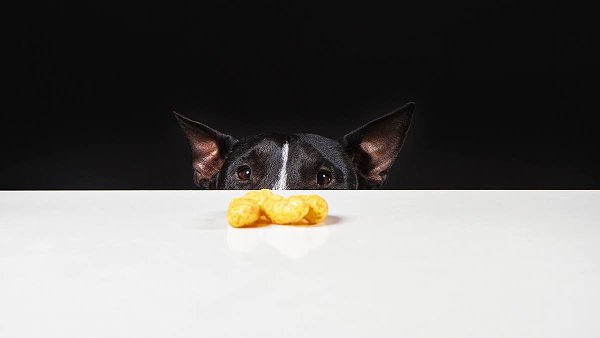 Интересно, сколько у нас в группе сушечников, а сколько натуральщиков? и сколько на смешанном ...