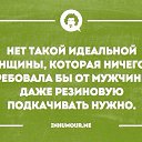 ���� �����, �������, 48 ��� - ��������� 28 ������� 2017 � ������ ������ ��������