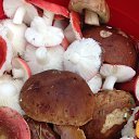 ���� �������, ������ - ��������� 1 ��� 2018 � ������ ���� ����������