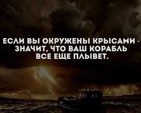  - 20  2017  08:51